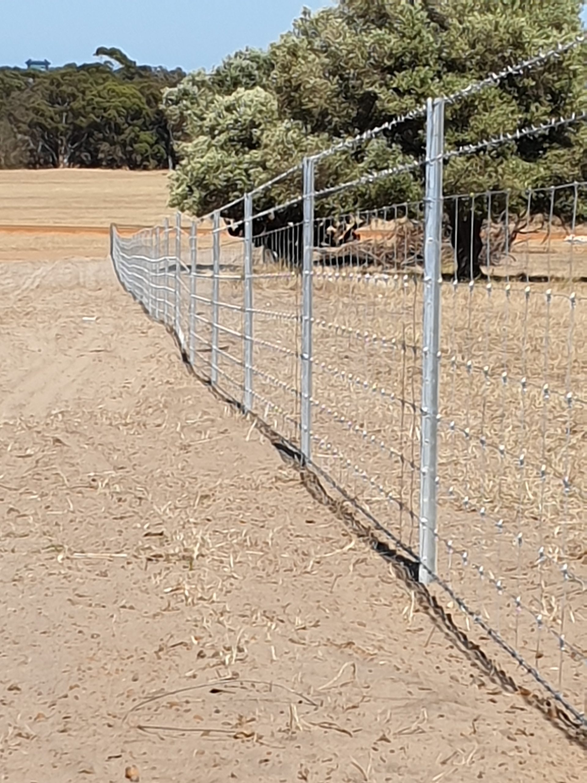 wire fencing perth